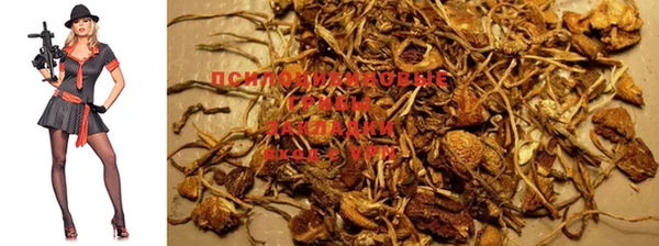 Альфа ПВП Иннополис