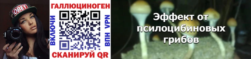 Купить закладки  Кириллов  Галлюциногенные грибы GOLDEN TEACHER 